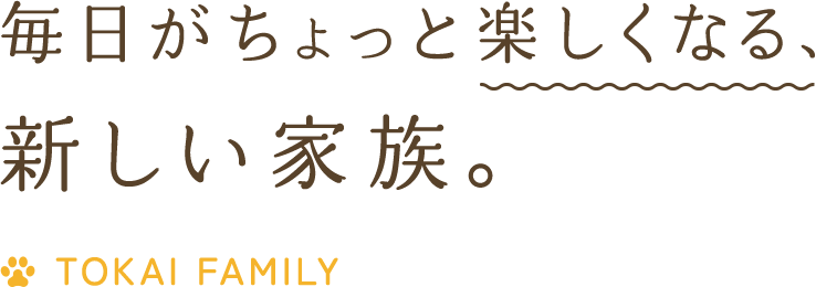 毎日がちょっと楽しくなる、新しい家族。