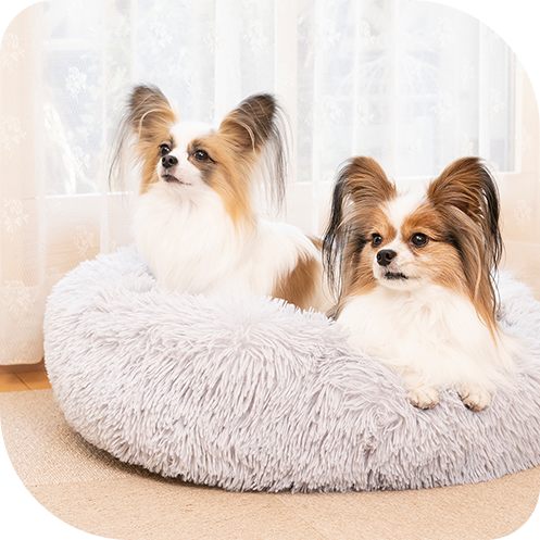 東海ファミリー