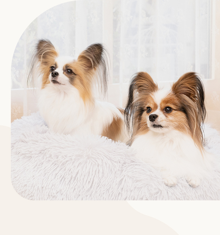 東海ファミリー